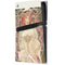 Alphonse Mucha Reverie 1897 PS5 Pro Console Skin